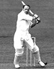  Don Bradman